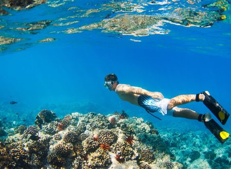 Coral restoration project 