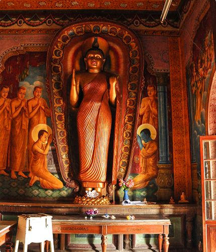 Walkers Tours – airline & tickets in Sri Lanka – photo 2