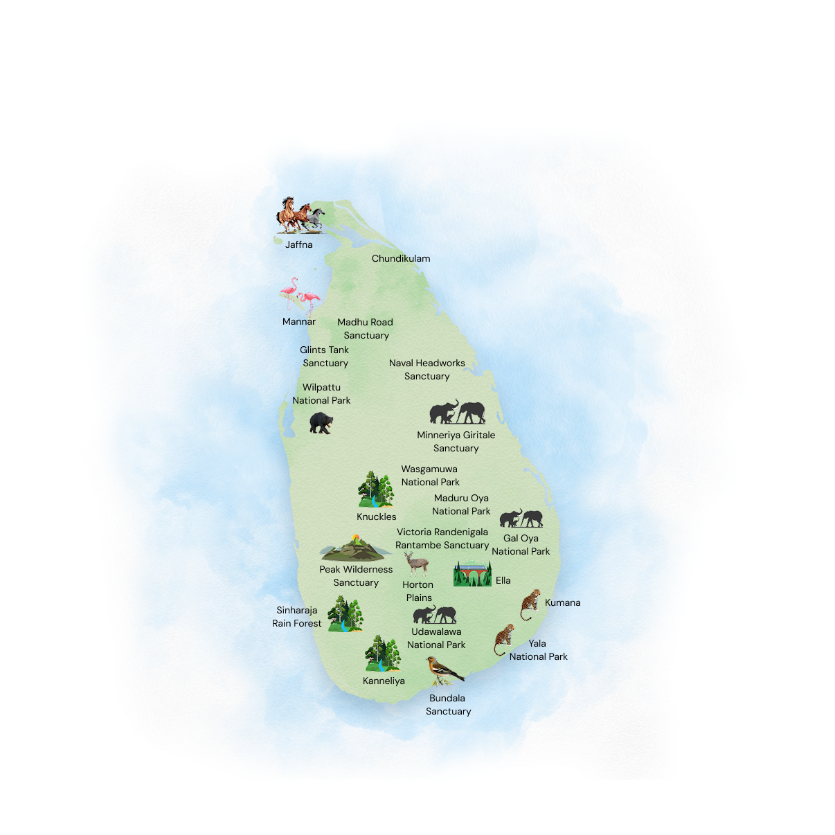 wildlife | Adventure map