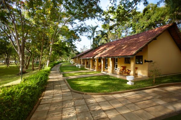 Habarana Village by Cinnamon Marks 50 Years of Hospitality in the Heart of Sri Lanka’s Cultural Triangle