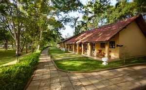 Habarana Village by Cinnamon Marks 50 Years of Hospitality in the Heart of Sri Lanka’s Cultural Triangle