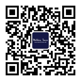 WeChat QR Code